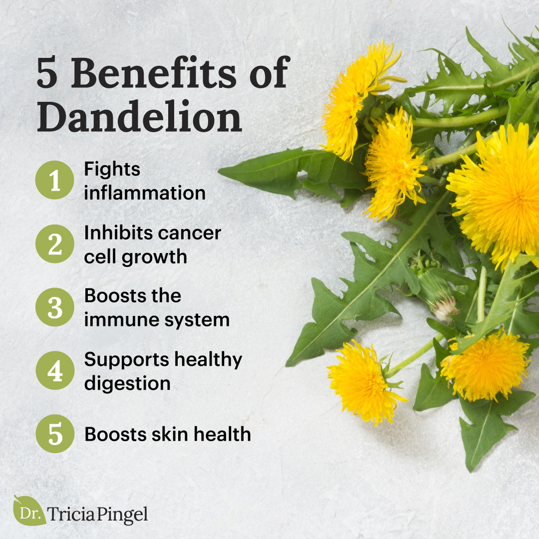 Health benefits of dandelion - Dr. Pingel