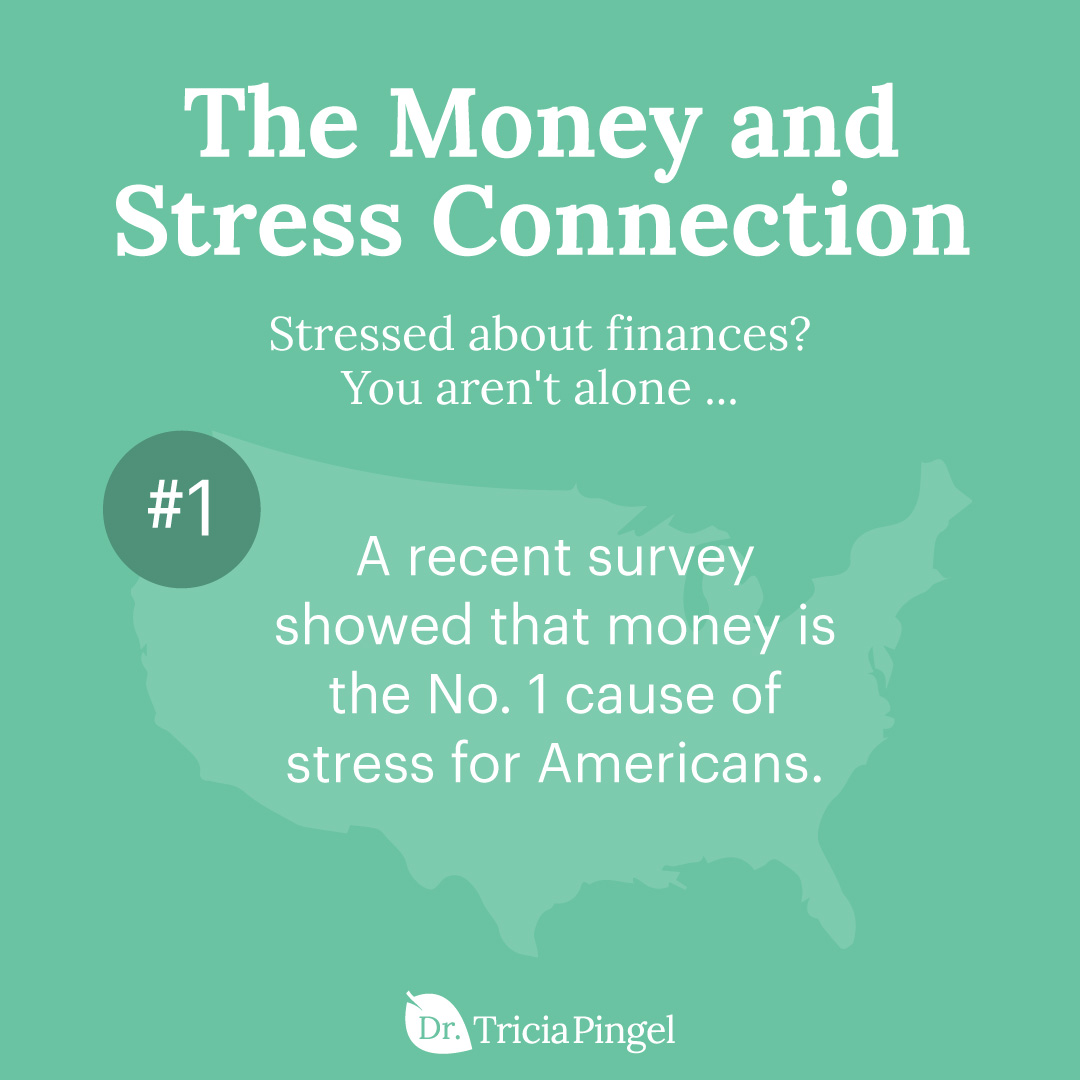 Handling financial stress - Dr. Pingel