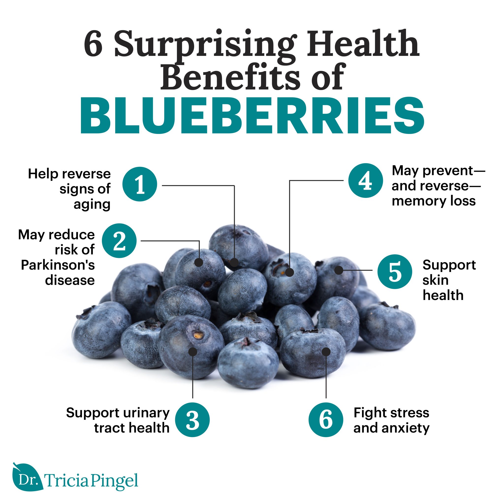 Health benefits of blueberries - Dr. Pingel