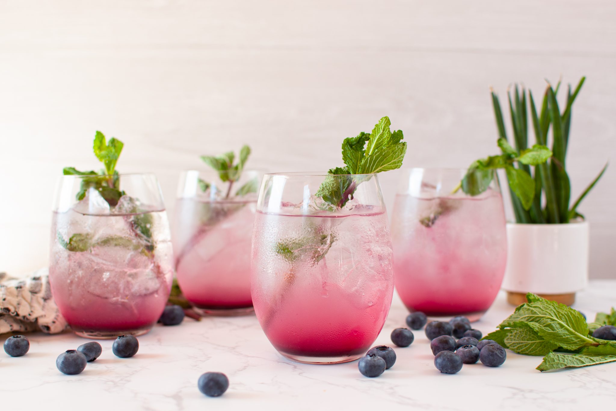 Blueberry shrub recipe - Dr. Pingel