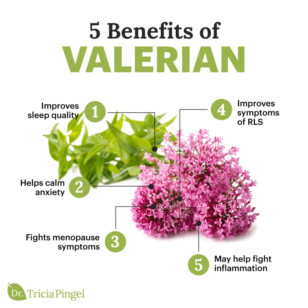 Valerian benefits - Dr. Pingel