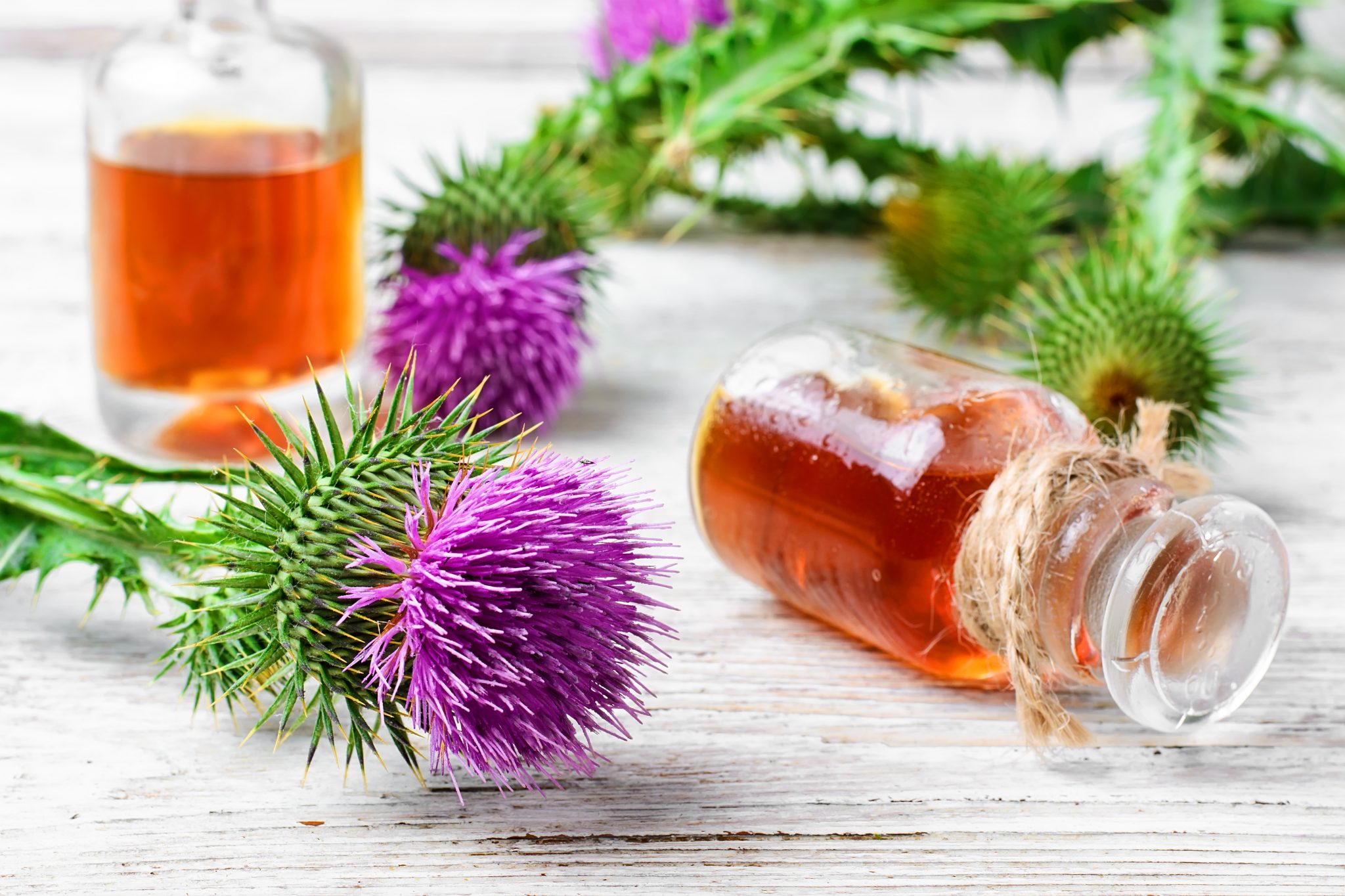 Digestive-Bitters-Milk-Thistle-scaled